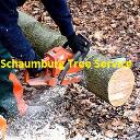 Schaumburg Tree Service logo